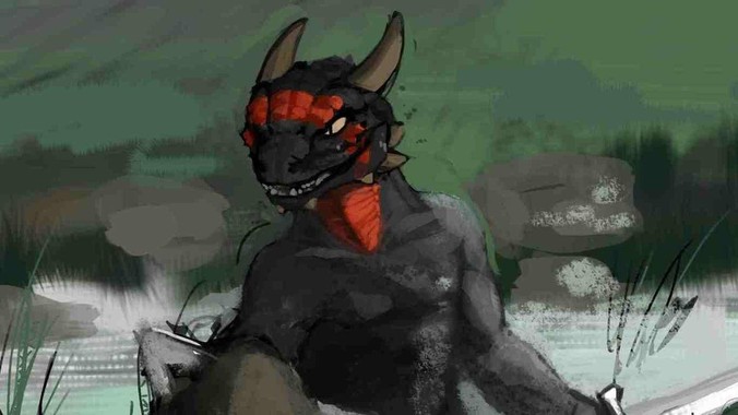 有没有用过GOOVIS的？